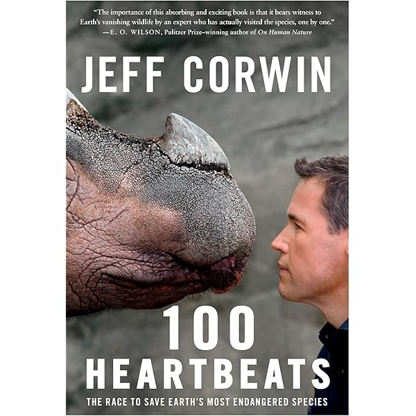 Amazon.com: The Jeff Corwin Experience - Season 1 : Jeff Corwin